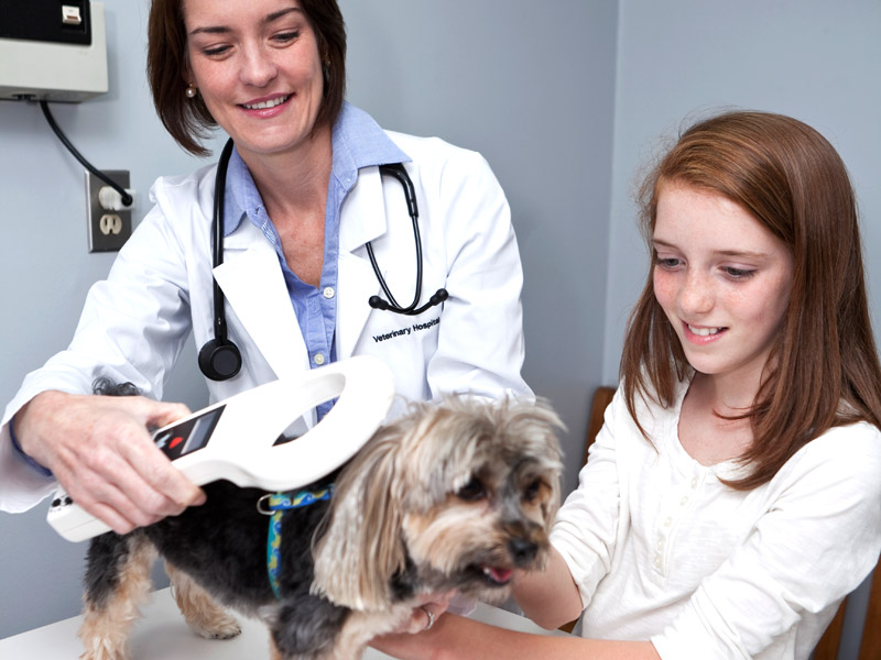 Hunde-Registrierung (Heimtierdatenbank), Hundezucht