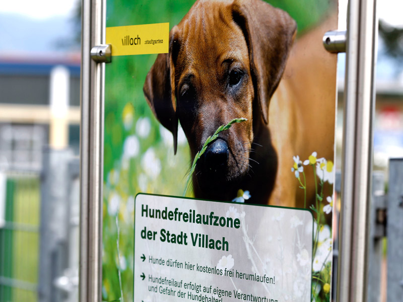 Freilaufzonen und Badeplätze für Hunde