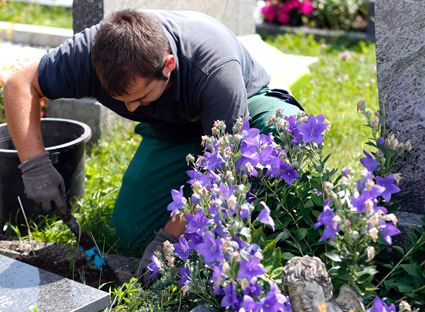 Stadtgarten-Mitarbeiter bei der Grabpflege
