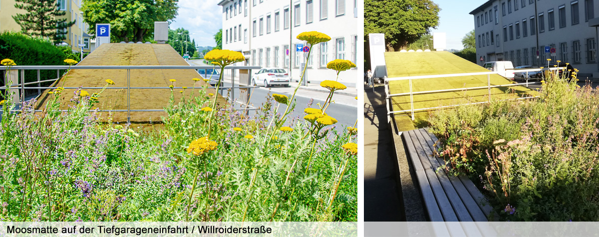 Beispiele für Innovatives Grün in Villach
