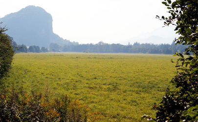 wirtschaft_betriebsanlagen_freieflaechen_alplog_02.jpg