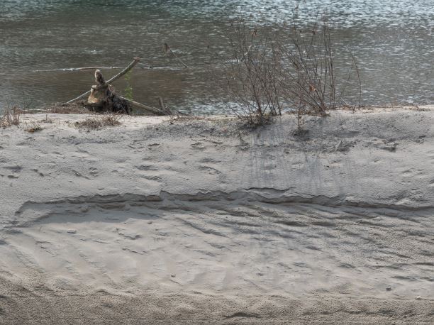 Tagliamento-zugeschnitten-quer.JPG Tagliamento-zugeschnitten-quer.JPG