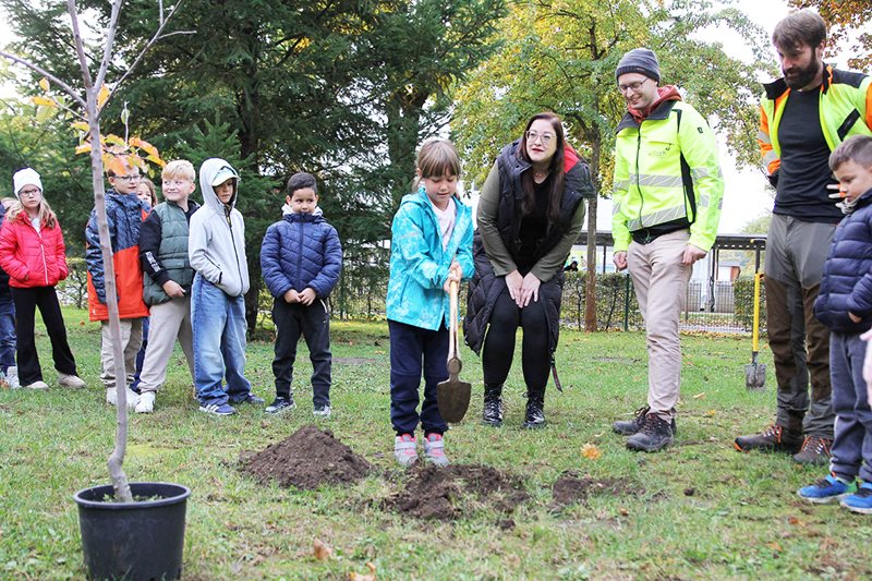 250 neue Bäume für die Stadt