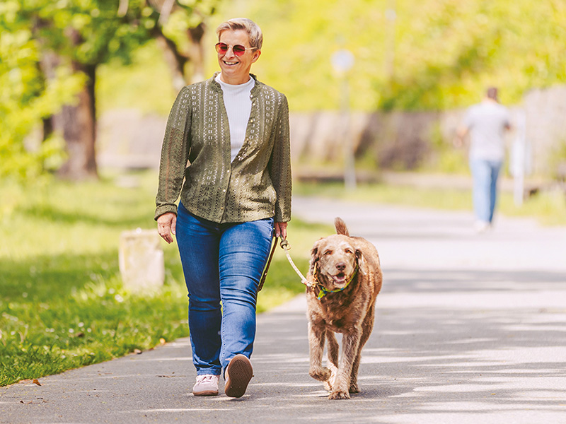  Hundefreundliches Villach