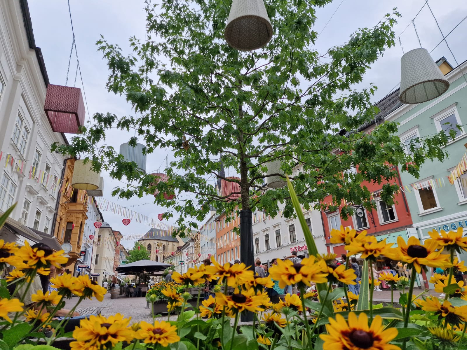  Mitmachen beim Vogelzählen