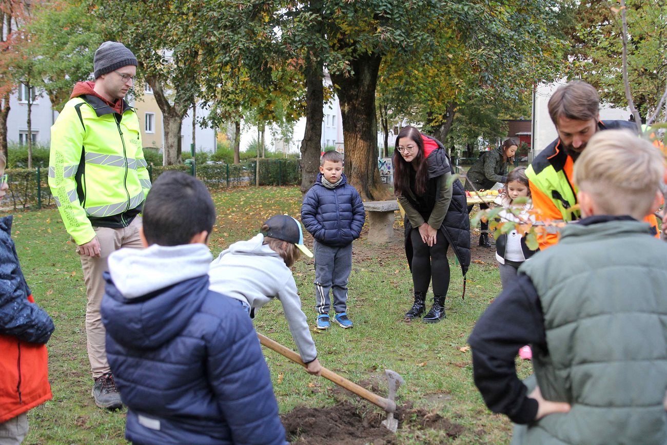 Vizebürgermeisterin Sarah Katholnig und Baummeister Alexander Stelzhammer unterstützten die Kinder  bei der Pflanzaktion im Vogelweidepark. 