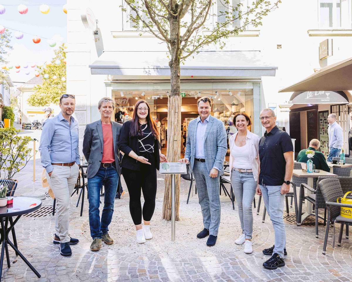 Cineplexx-Baum  auf dem Hauptplatz