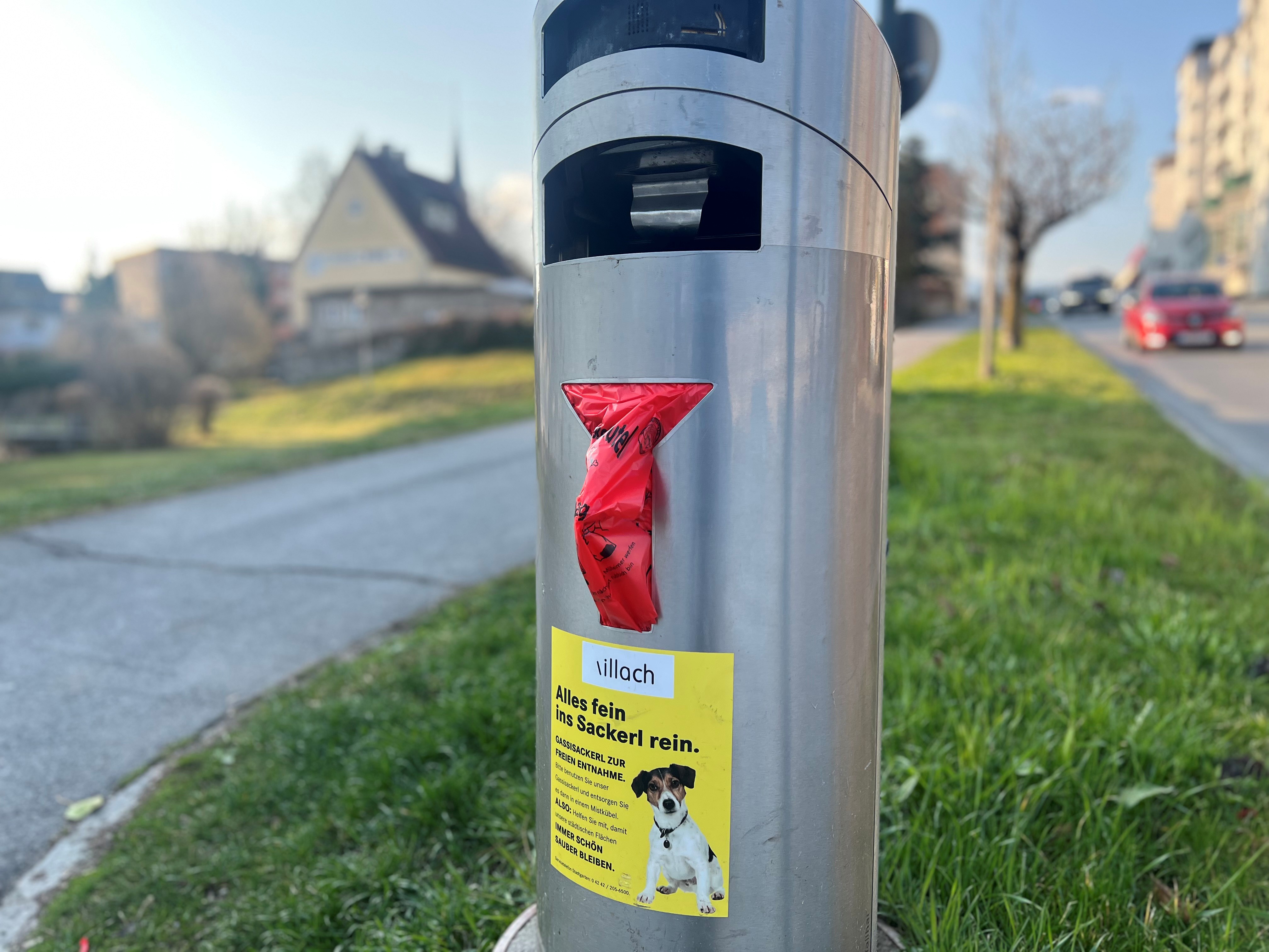 Appell an Hundehalter:innen
