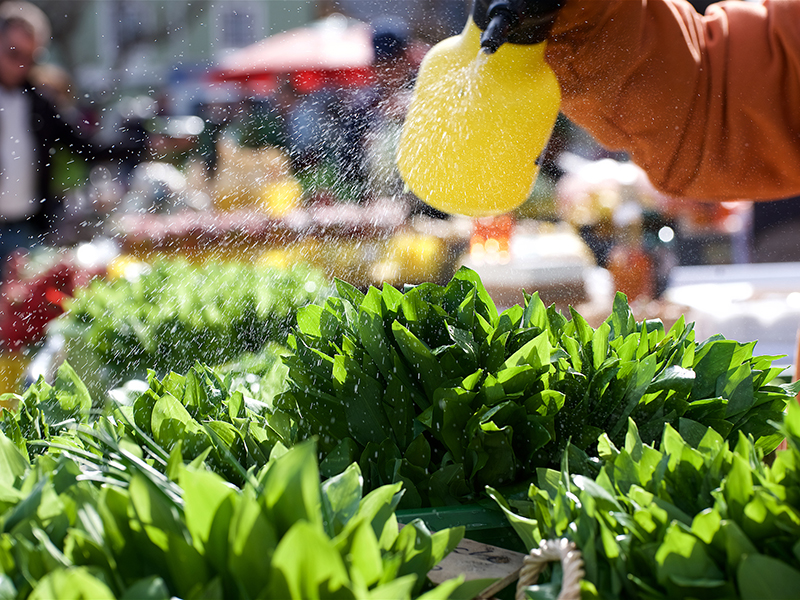 Villacher Marktgenuss