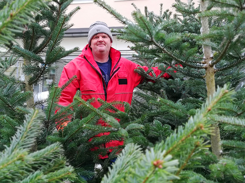 Christbaummarkt