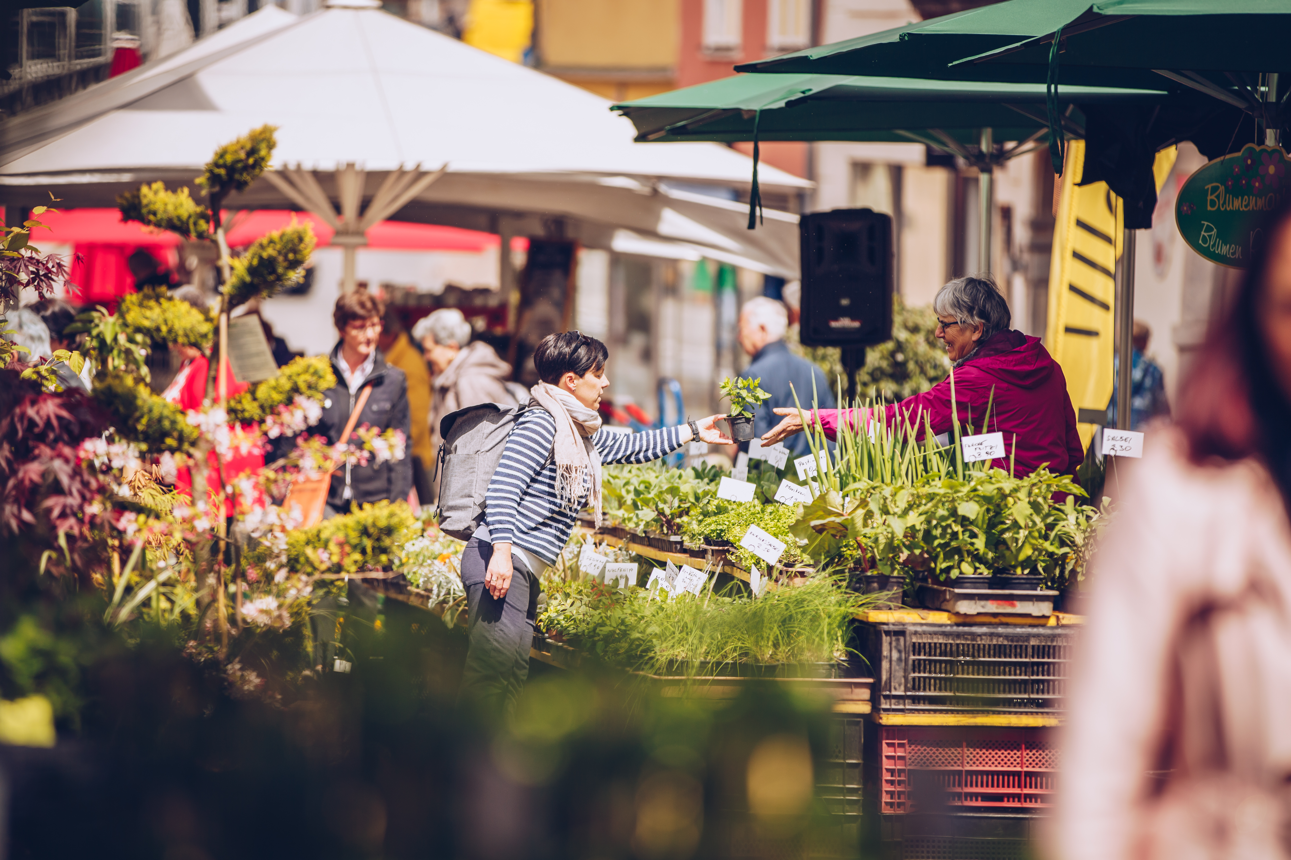 ✿ Blumenmarkt