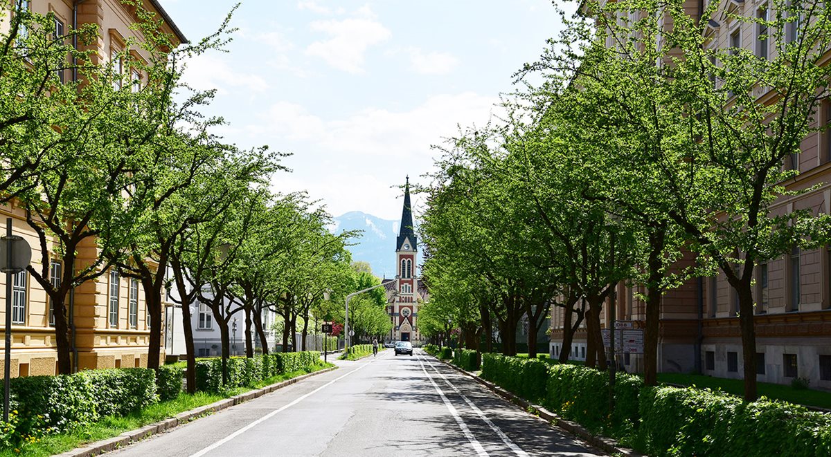 Stadtallee quer durch die Stadt