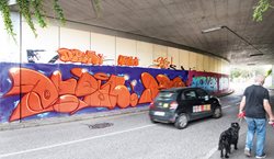 Legale Street Art Fläche bei der SEZ Unterführung Richtung Willroider Parkplatz.