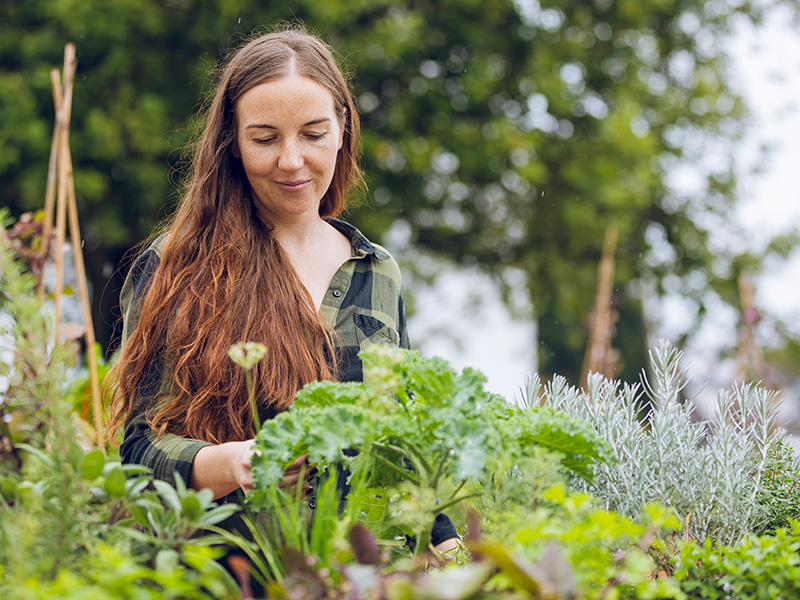  Urban Gardening - Garteln Sie mit!
