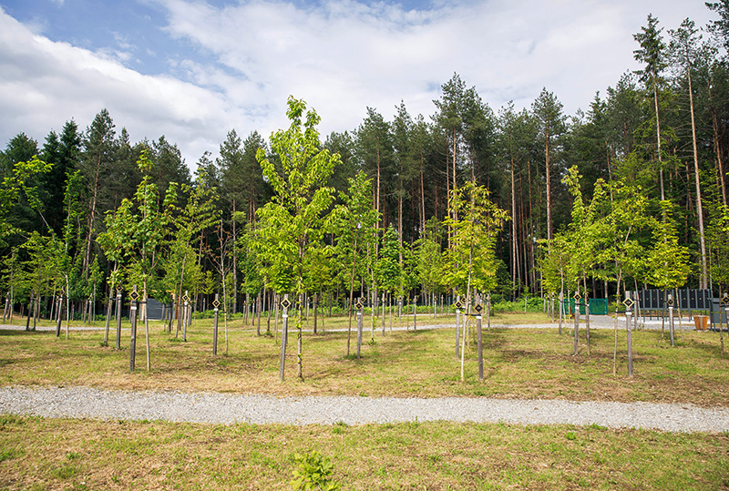 WALDFRIEDHOF Mittewald-Faakersee