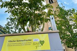 Sommerfrischler