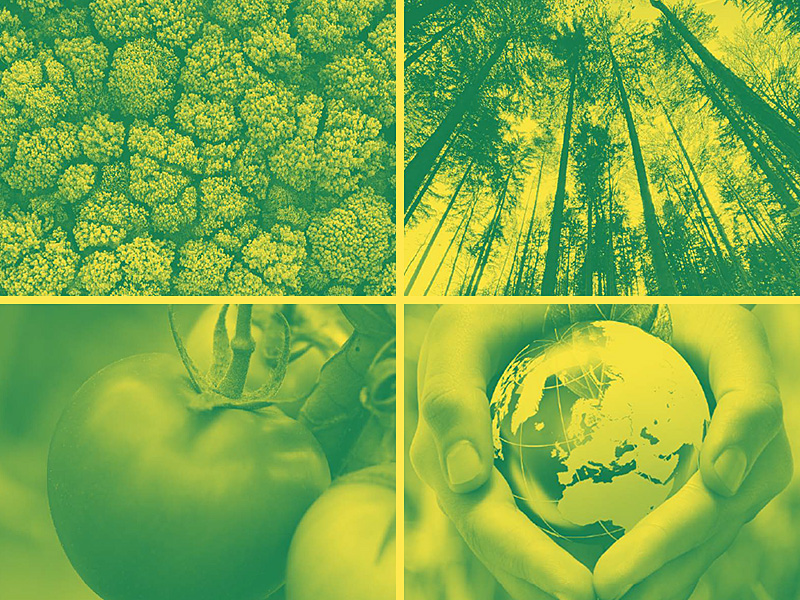 Villach - grenzenlos grün